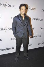 Tusshar Kapoor at Moet Hennesey launch of Chandon wines made now in India in Four Seasons, Mumbai on 19th Oct 2013